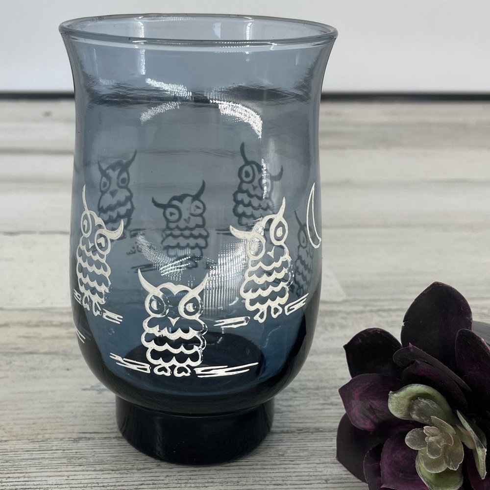 Libbey Tulip Blue Owl Vintage Glass Hand Painted